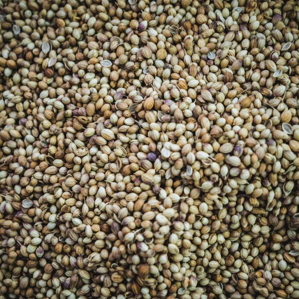 Close-up of a large pile of cannabis seeds in various shades of brown and beige, showcasing their texture and patterns.